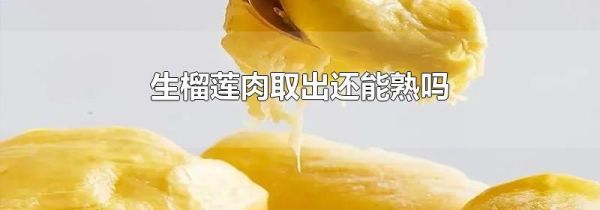 生榴莲肉取出还能熟吗