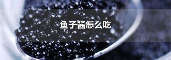 鱼子酱怎么吃