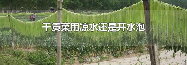 干贡菜用凉水还是开水泡
