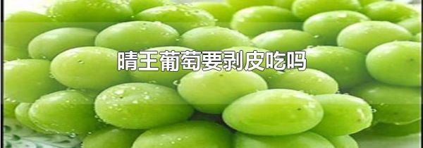 晴王葡萄要剥皮吃吗
