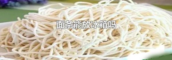 面条能放冰箱吗