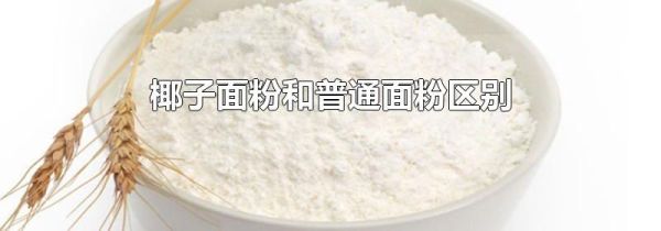 椰子面粉和普通面粉区别