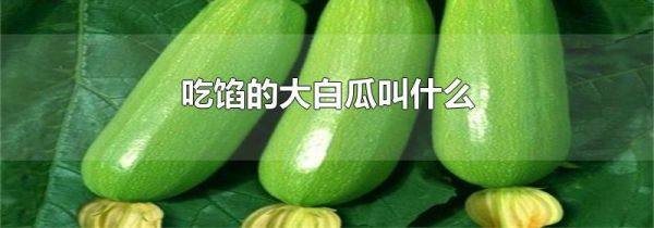 吃馅的大白瓜叫什么