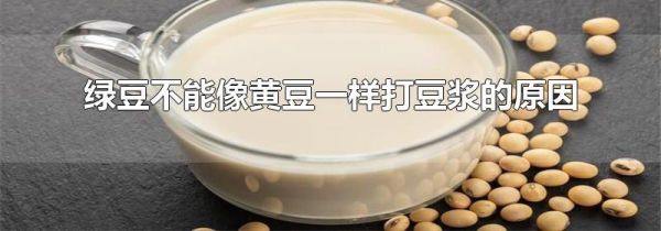 绿豆不能像黄豆一样打豆浆的原因