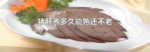 猪肝煮多久能熟还不老