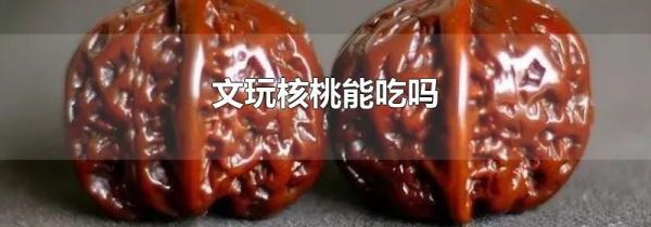 文玩核桃能吃吗