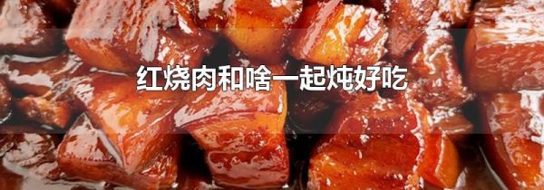 红烧肉和啥一起炖好吃