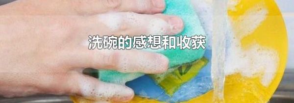洗碗的感想和收获