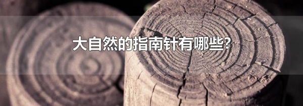 大自然的指南针有哪些?