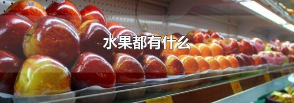 水果都有什么