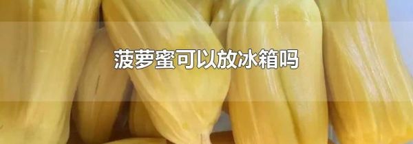 菠萝蜜可以放冰箱吗
