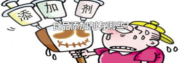 食品添加剂有哪些?