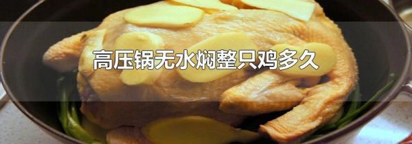 高压锅无水焖整只鸡多久