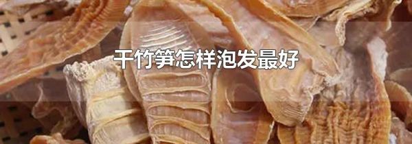 干竹笋怎样泡发最好