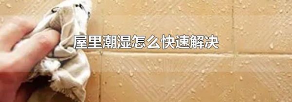 屋里潮湿怎么快速解决