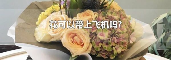 花可以带上飞机吗?