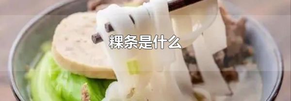 粿条是什么