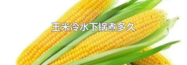 玉米冷水下锅煮多久