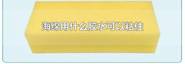 海绵用什么胶水可以粘住