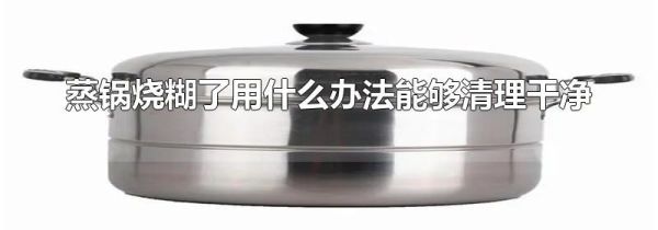 蒸锅烧糊了用什么办法能够清理干净