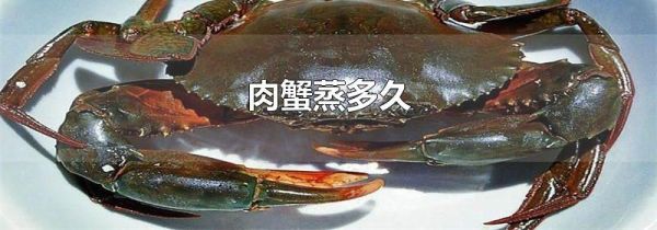 肉蟹蒸多久