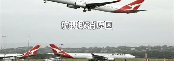 航班取消原因
