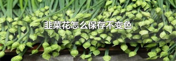 韭菜花怎么保存不变色
