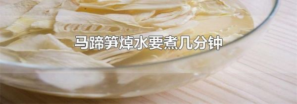 马蹄笋焯水要煮几分钟