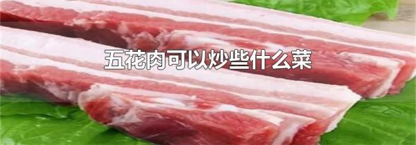 五花肉可以炒些什么菜