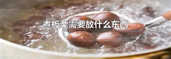 煮板栗需要放什么东西