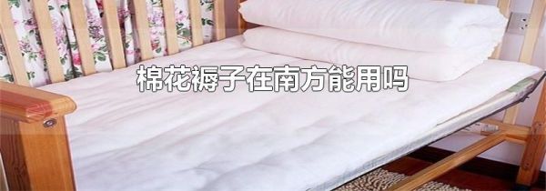 棉花褥子在南方能用吗
