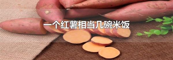一个红薯相当几碗米饭