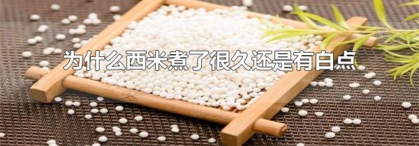 为什么西米煮了很久还是有白点