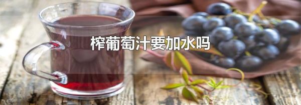 榨葡萄汁要加水吗