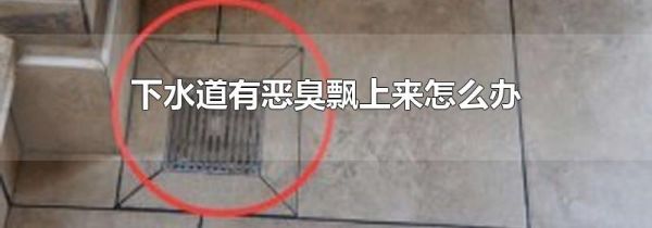 下水道有恶臭飘上来怎么办