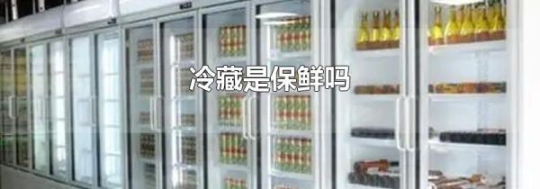 冷藏是保鲜吗