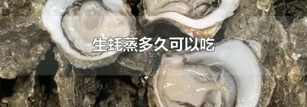 生蚝蒸多久可以吃