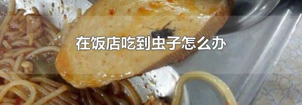 在饭店吃到虫子怎么办