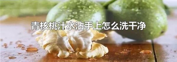 青核桃汁水沾手上怎么洗干净