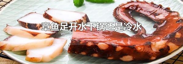 章鱼足开水下锅还是冷水