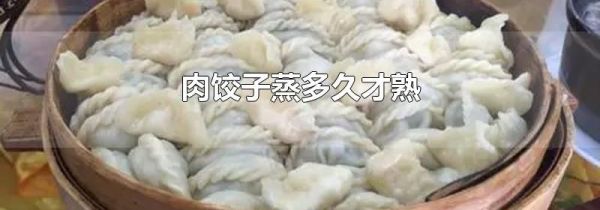 肉饺子蒸多久才熟
