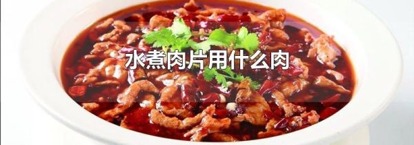 水煮肉片用什么肉