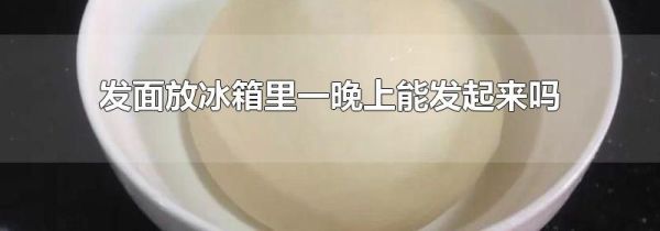 发面放冰箱里一晚上能发起来吗
