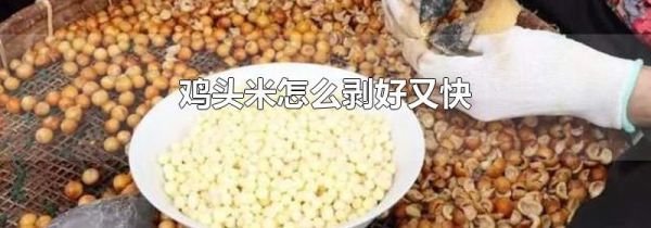 鸡头米怎么剥好又快
