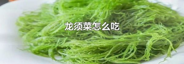 龙须菜怎么吃