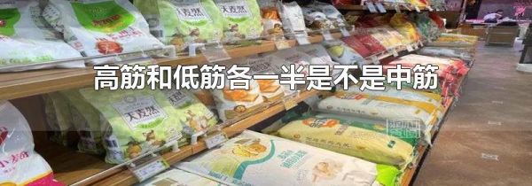 高筋和低筋各一半是不是中筋
