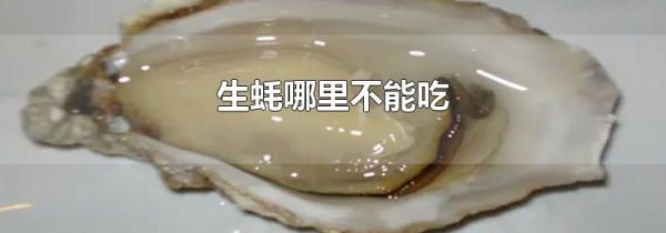 生蚝哪里不能吃