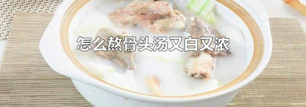 怎么熬骨头汤又白又浓