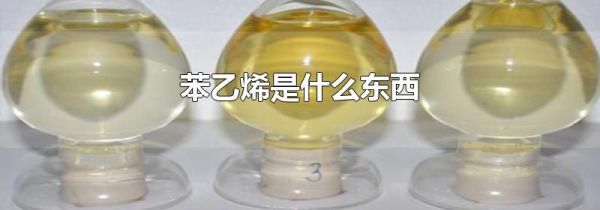 苯乙烯是什么东西