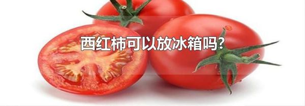 西红柿可以放冰箱吗?
